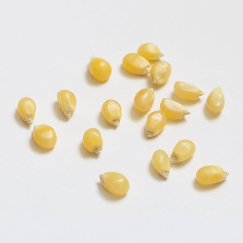 Mixed Case of Popping Corn